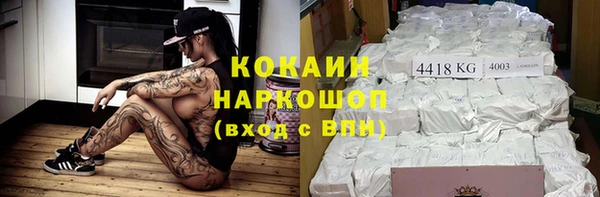 мдпв Богородск