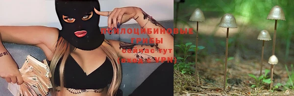 соль курить ск Богородицк