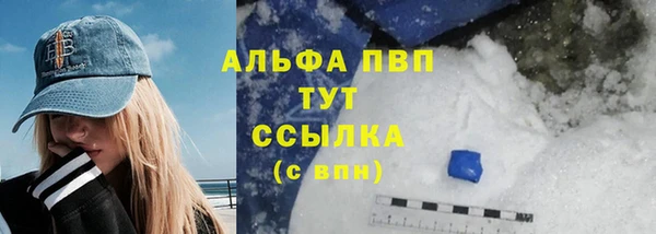 винт Богданович