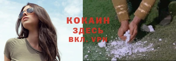 мдпв Богородск