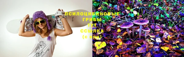 мдпв Богородск