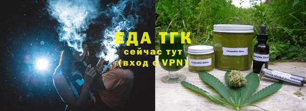 мдпв Богородск